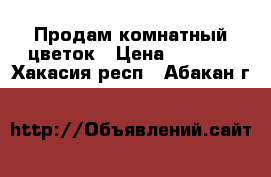 Продам комнатный цветок › Цена ­ 1 200 - Хакасия респ., Абакан г.  »    